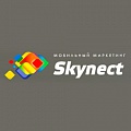 Skynect